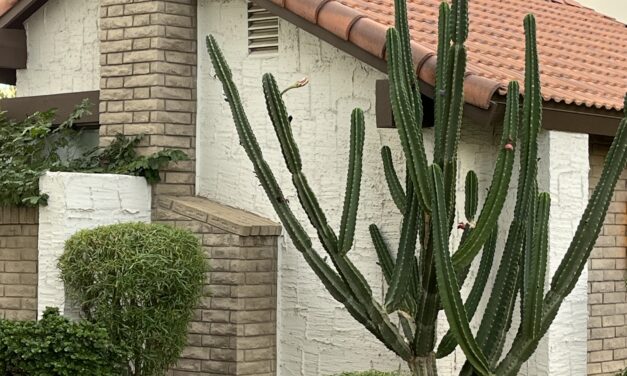 First, I wanted to say welcome back and I’m happy you are here