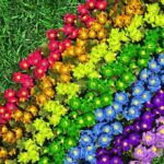 <sub>GROWING UP</sub>